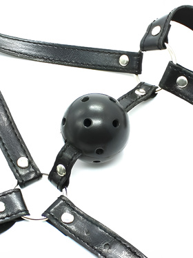 Toyz4Lovers: Fetish Art, Face Harness Gag