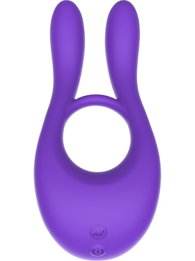 Toy Joy: Joy Ride To Paradise, Vibrating C-Ring with Remote