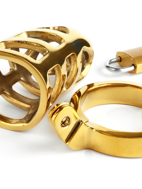 Mr Steel: Brutal Chastity Cage, guld