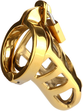 Mr Steel: Brutal Chastity Cage, guld