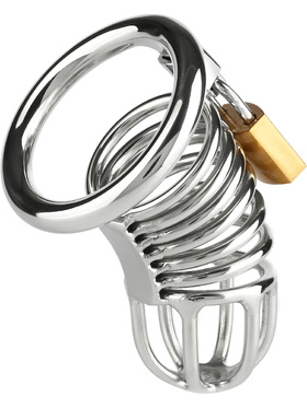 Mr Steel: Ring Master Chastity Device