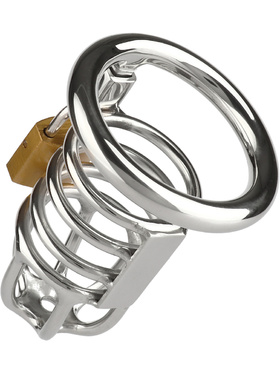 Mr Steel: Ring Master Chastity Cock Cage